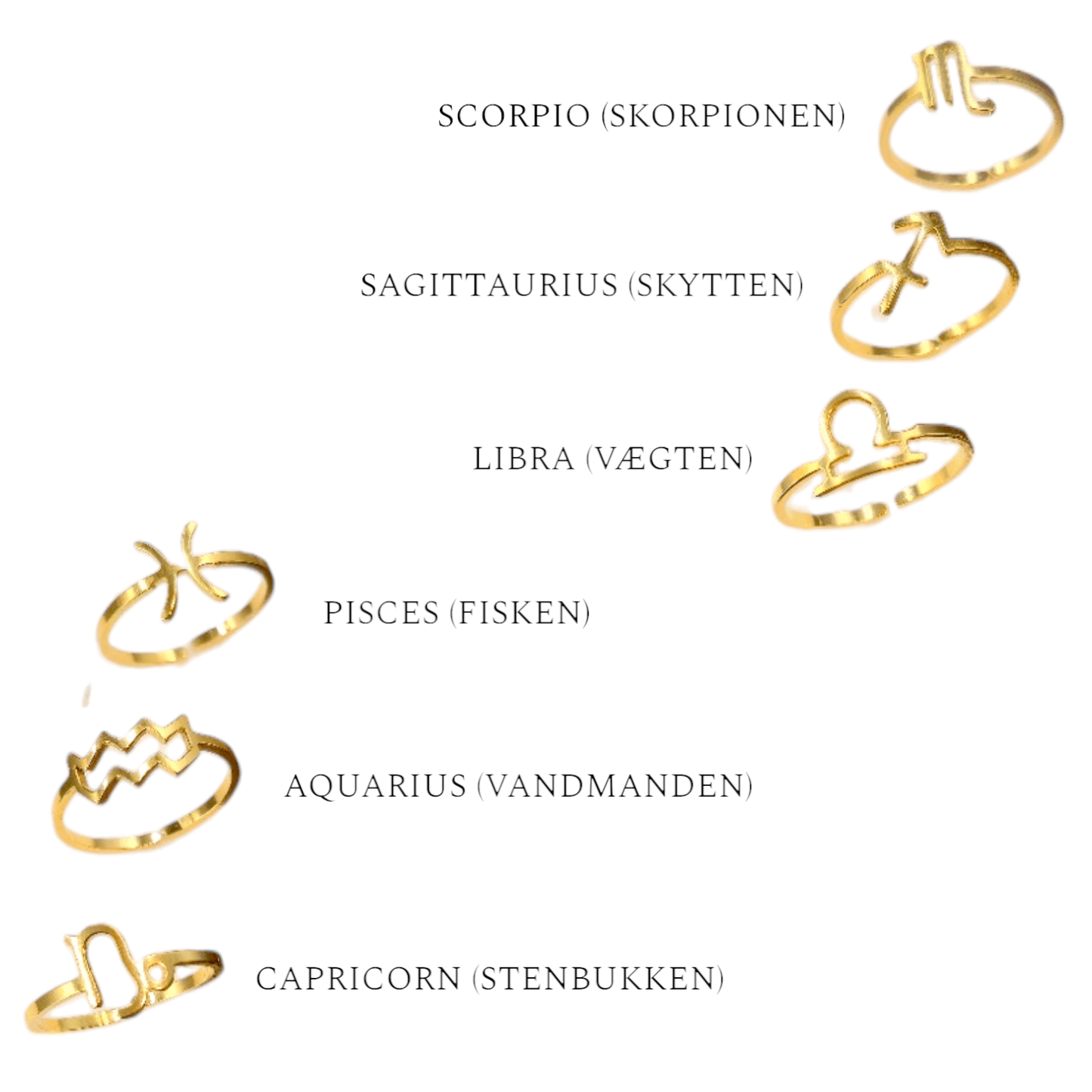 ZODIAC RING – Lakris Jewelry