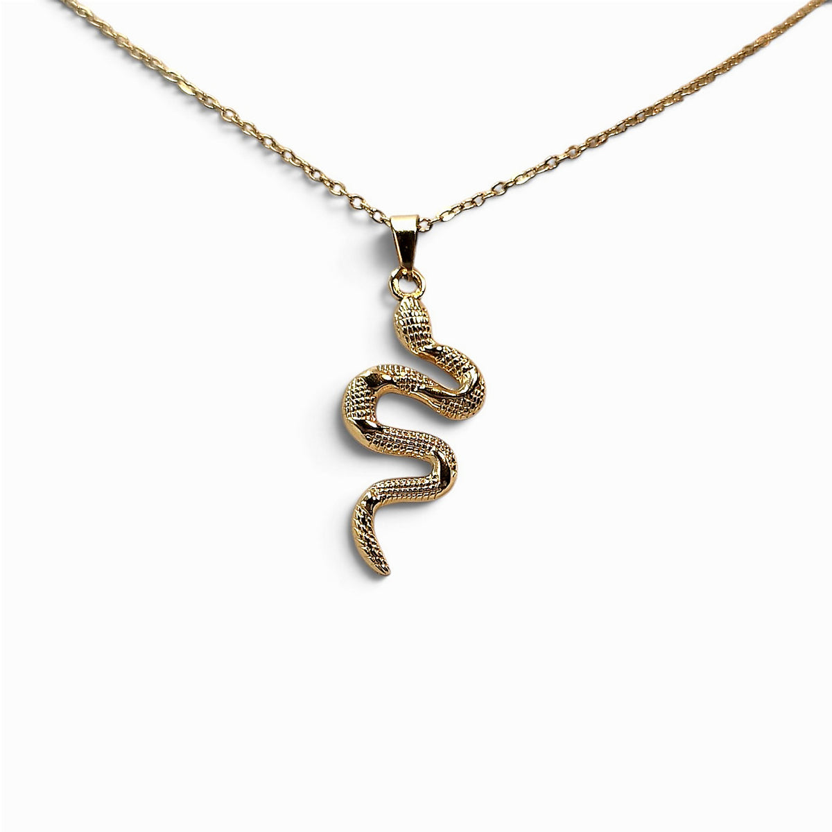 NAGA