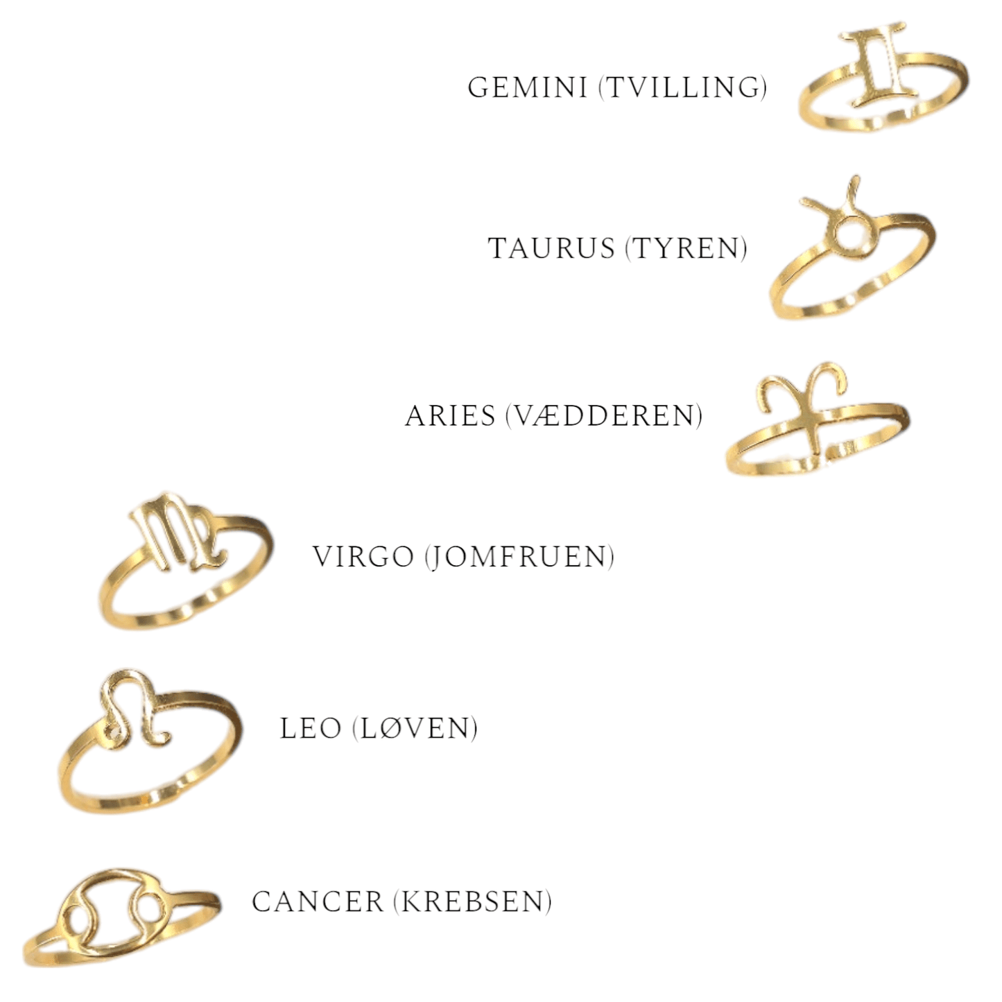 ZODIAC RING – Lakris Jewelry