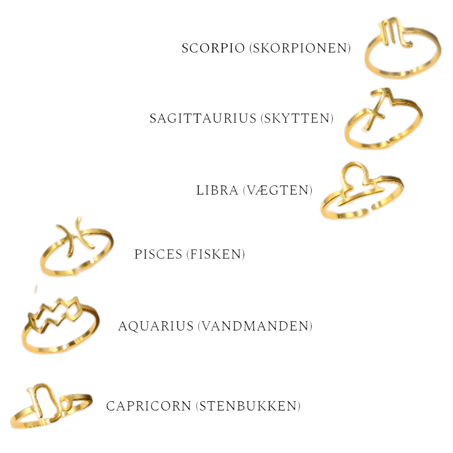 ZODIAC RING – Lakris Jewelry