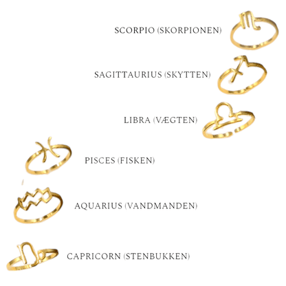 ZODIAC RING – Lakris Jewelry