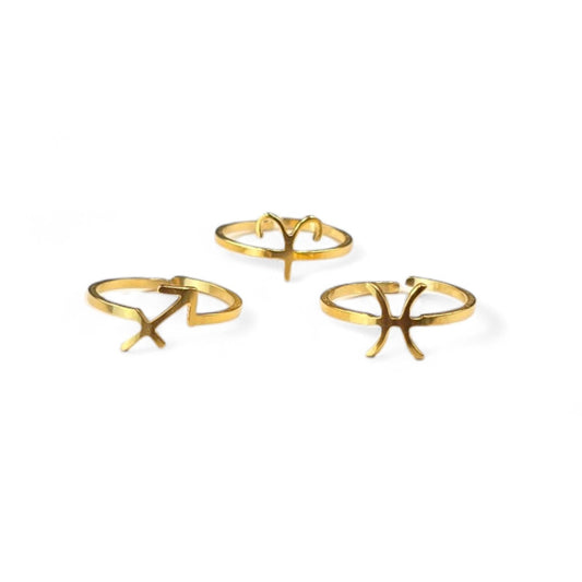 ZODIAC RING – Lakris Jewelry